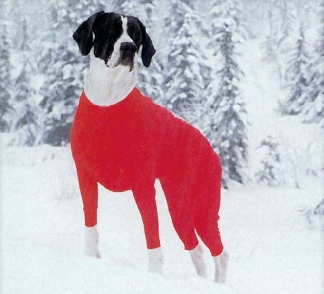 Hovedbilde Jægerens superdekken tispe